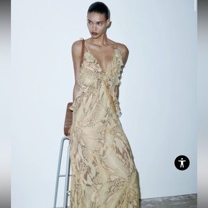 Zara animal print midi/maxi